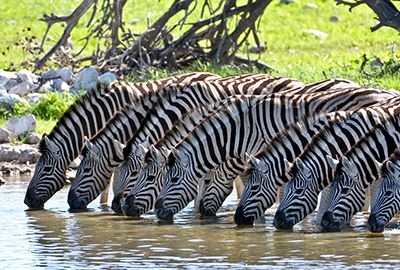 Splash Out in South Africa