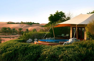 Incredible Dune Oasis